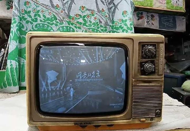 花如今三家易主只剩下一家成为一线品牌爱游戏app网站中国冰箱界的四朵金(图10)