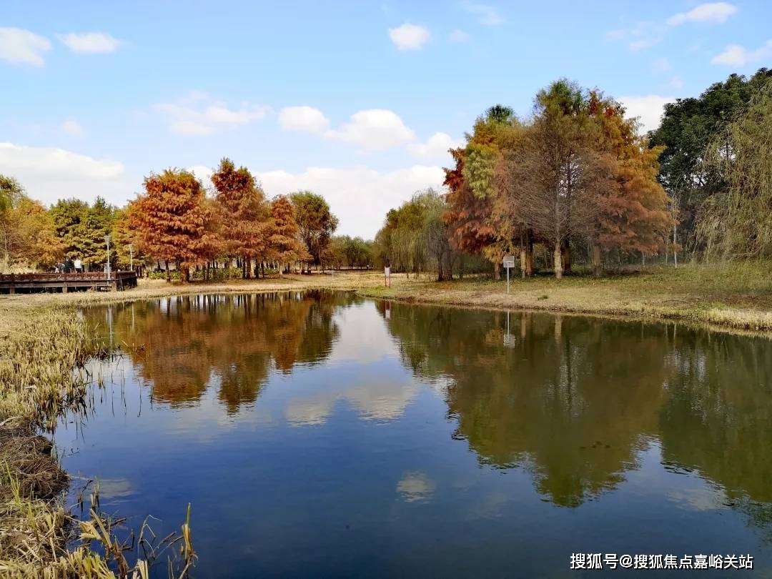 中心处欢迎您-楼盘详情首页网站-楼盘详情-欢迎您爱游戏张江金茂府(售楼处)首页网站张江金茂府售楼(图7)