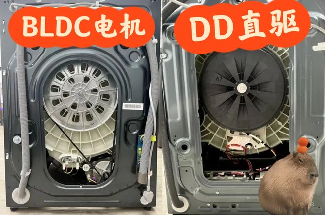 我果断换回波轮洗衣机有些话不吐不快爱游戏网站入口用了1年滚筒洗衣机后(图19)
